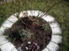febbraio  2011 011.jpg