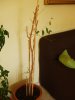 DSCF1053.jpg
