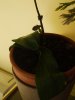 DSCF1052.jpg