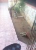 giardino1.jpg