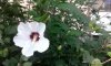IMG_20140906_085358.jpg