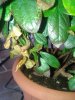 20140914_144123.jpg