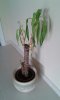 IMG-20140915-WA0000.jpg IMG-20140915-WA0000.jpg