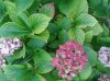 20140919_074251.jpg