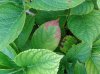 20140919_074254.jpg