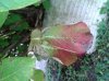 20140919_074302.jpg
