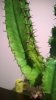 WP_20140920_21_16_22_Pro.jpg
