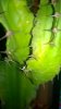 WP_20140920_21_17_08_Pro.jpg