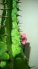 WP_20140920_21_19_06_Pro.jpg
