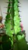 WP_20140920_21_19_16_Pro.jpg