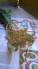 WP_20140925_004.jpg