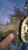 WP_20140925_008.jpg