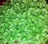 IMG_20140927_204901.jpg
