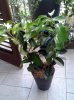 20140928_092448.jpg