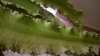 WP_20140930_029.jpg