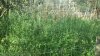 20141008_091410.jpg