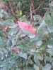 20141003_071442.jpg