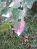 20141003_071451.jpg