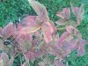 20141003_072549.jpg