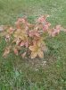 20141008_133616.jpg