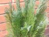 20141017_131951.jpg