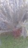 IMG-20141023-WA0002.jpg