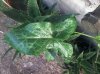 20141017_102652.jpg