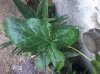 20141017_102704.jpg