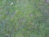 New_20141026_155043.jpg