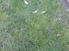 New_20141026_155046.jpg