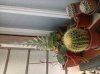 20141101_125449.jpg