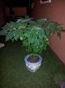 20141109_215327.jpg