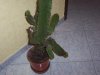 100_3457.jpg 100_3457.jpg