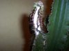 100_3456.jpg 100_3456.jpg