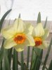 DSC04162.jpg