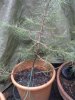 12032011025.jpg