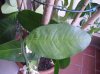 CIMG0417.jpg