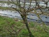Immagine 078.jpg