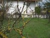 Immagine 080.jpg