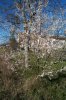 Immagine 004.jpg