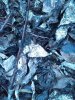 potature foglie argentate.jpg potature foglie argentate.jpg