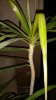 20150125_031832.jpg