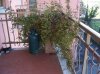 100_5105.jpg