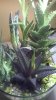 WP_20150223_003.jpg