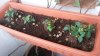 20150227_140607.jpg