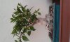 20150303_181202.jpg