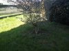 IMG_20150308_134737.jpg