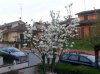tn_SNB17606.jpg