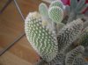 DSCN4909.jpg