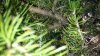 20150309_143812.jpg
